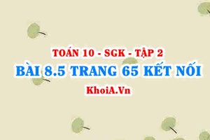 Bài 8.5 trang 65 Toán 10 Kết nối tri thức Tập 2